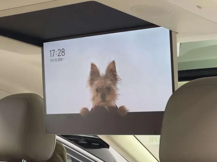 Li Auto i8 2025 Model Standard Edition – фото 19