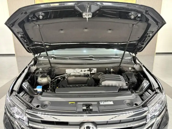 Viloran 2024 Model 380TSI Zun Drive Edition – фото 6