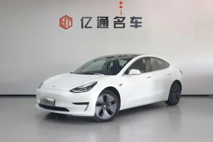 Model 3 2020 Model Standard Battery Life Rear Drive L Class Edition – фото 1