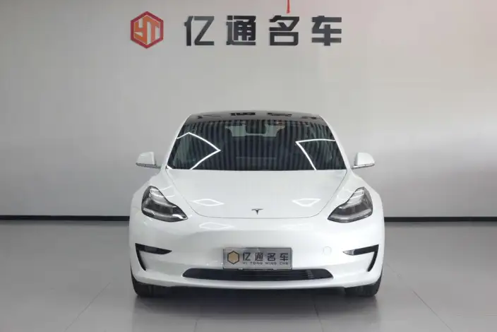 Model 3 2020 Model Standard Battery Life Rear Drive L Class Edition – фото 2