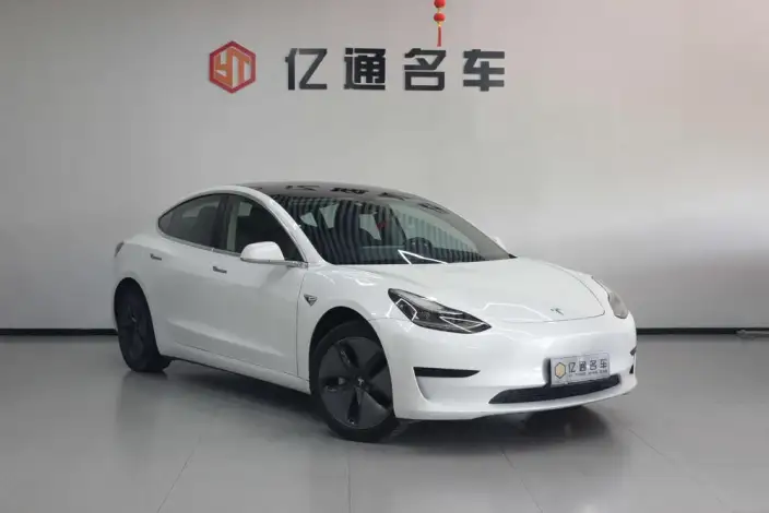 Model 3 2020 Model Standard Battery Life Rear Drive L Class Edition – фото 3