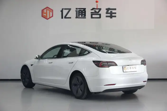 Model 3 2020 Model Standard Battery Life Rear Drive L Class Edition – фото 4