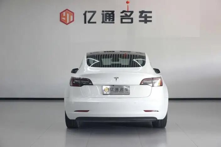 Model 3 2020 Model Standard Battery Life Rear Drive L Class Edition – фото 5