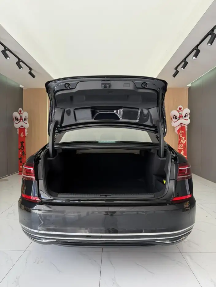 Volkswagen Passat 2024 Model 330TSI Starry sky Elite Edition – фото 9