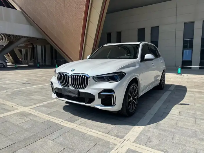 BMW X5 2022 Model Facelift xDrive 30Li Exclusive Model M Sports Set – фото 1