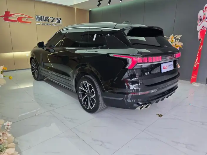 Lynk & Co 09 2024 Model 2.0T 4WD Global Edition – фото 4