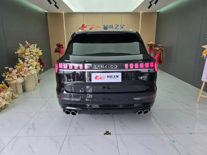 Lynk & Co 09 2024 Model 2.0T 4WD Global Edition – фото 5