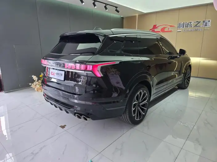 Lynk & Co 09 2024 Model 2.0T 4WD Global Edition – фото 6
