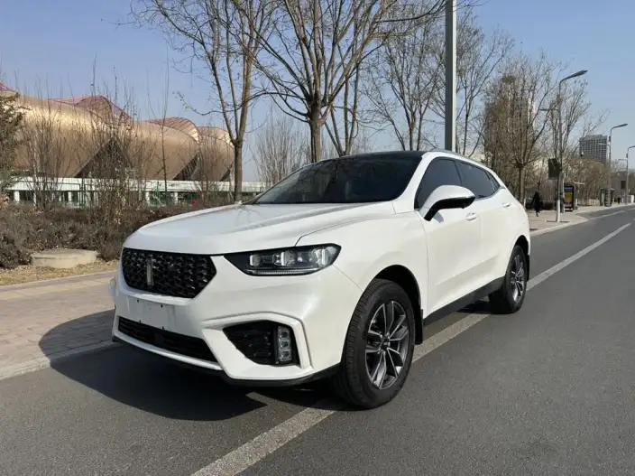 WEY VV5 2020 Model 1.5T Smart Pioneer – фото 1