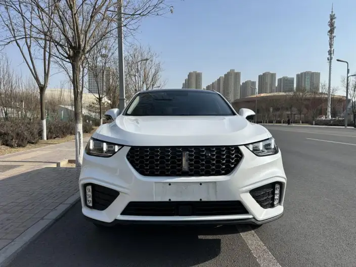 WEY VV5 2020 Model 1.5T Smart Pioneer – фото 2