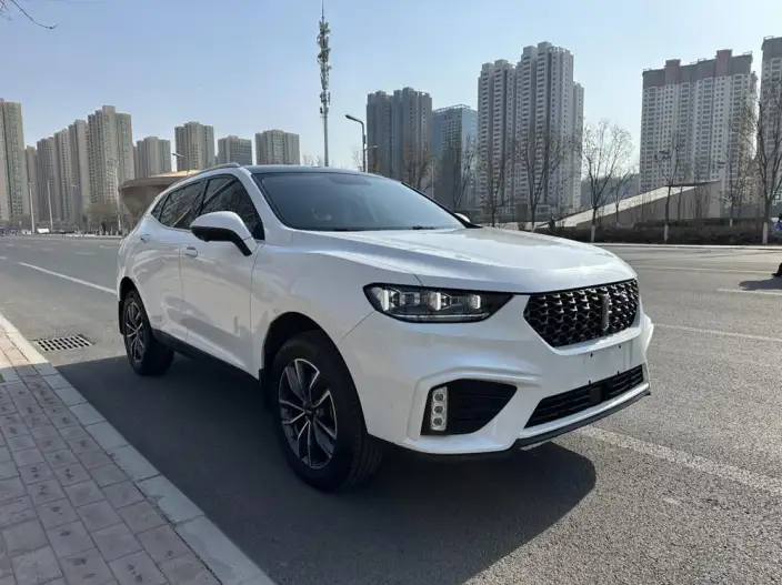 WEY VV5 2020 Model 1.5T Smart Pioneer – фото 3