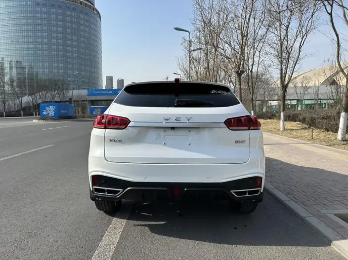 WEY VV5 2020 Model 1.5T Smart Pioneer – фото 5