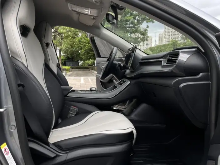 BYD Destroyer 05 2023 Model DM-i Champion Edition 55KM Luxury Model – фото 23
