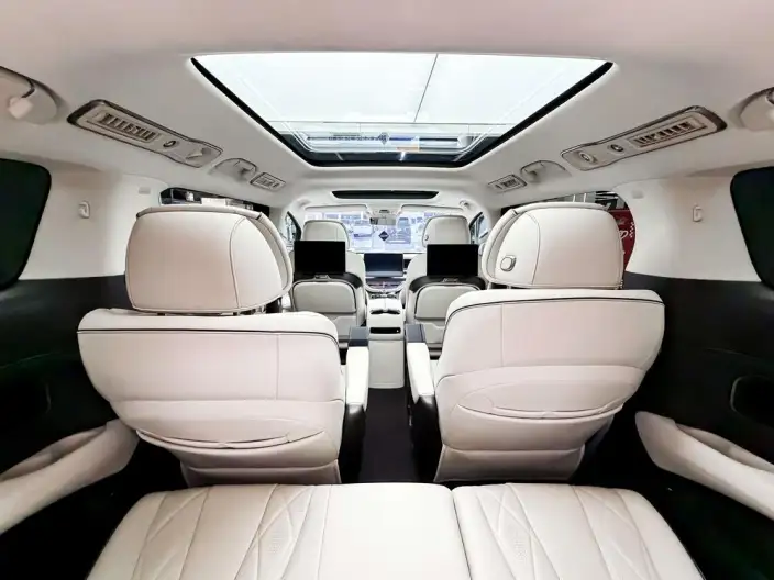 DENZA D9 DM 2024 Model 980 4WD Flagship Model – фото 11