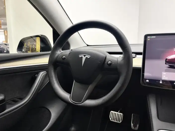 Model Y 2022 Model Facelift Rear-wheel drive version – фото 16