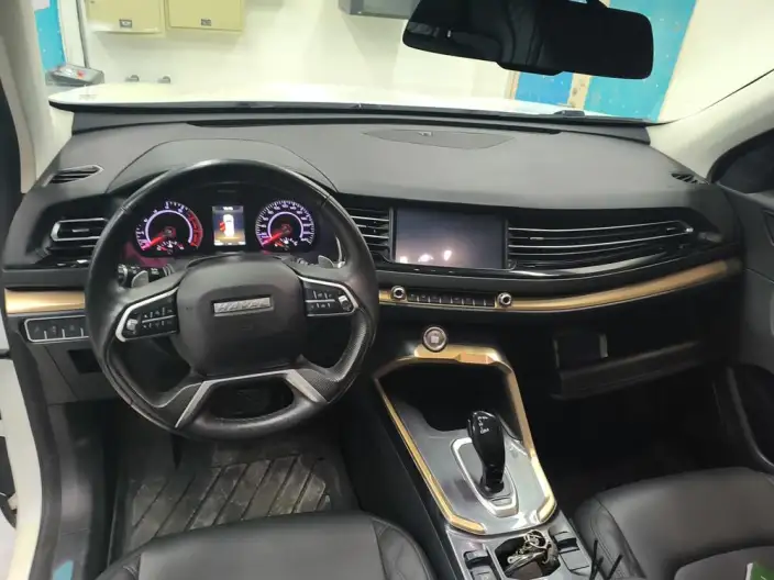 Haval H6 2020 Model 2.0GDIT Automatic Platinum Champion Edition – фото 5