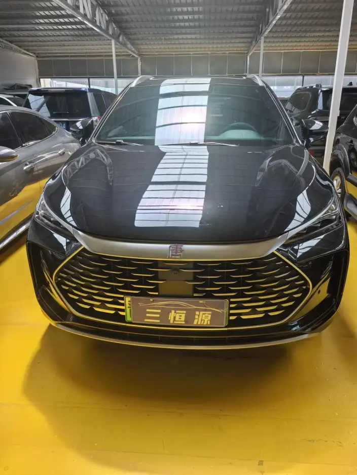 BYD Tang DM 2025 Model DM-i 115KM Noble Model – фото 2