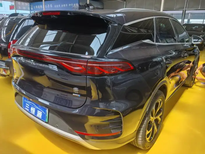 BYD Tang DM 2025 Model DM-i 115KM Noble Model – фото 5