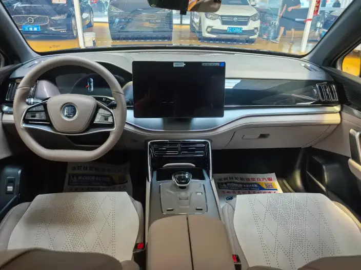 BYD Tang DM 2025 Model DM-i 115KM Noble Model – фото 8