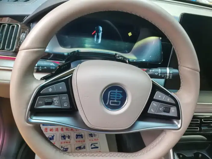 BYD Tang DM 2025 Model DM-i 115KM Noble Model – фото 9