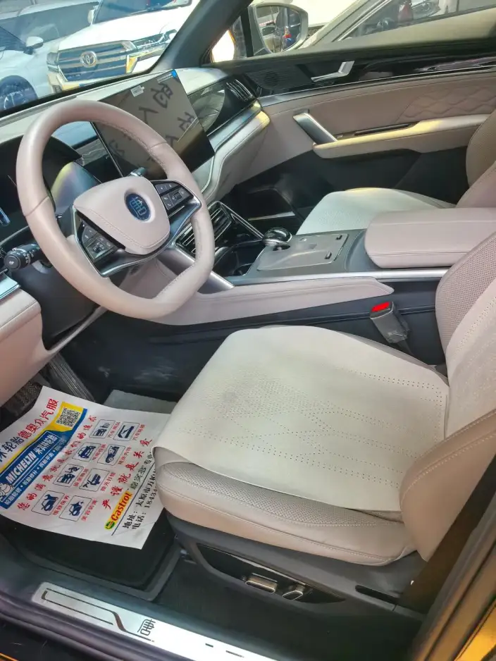 BYD Tang DM 2025 Model DM-i 115KM Noble Model – фото 11