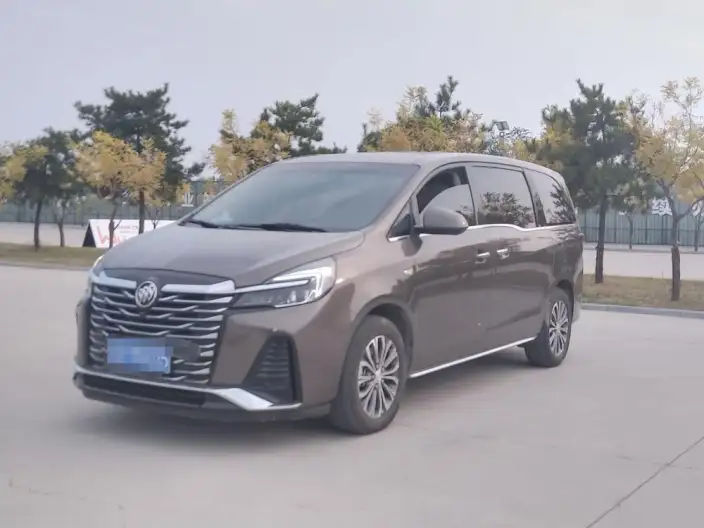 Buick GL8 2023 Model Business class 2.0T Luxury Model – фото 1