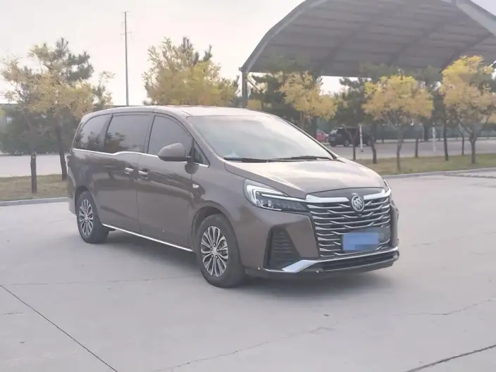 Buick GL8 2023 Model Business class 2.0T Luxury Model – фото 3