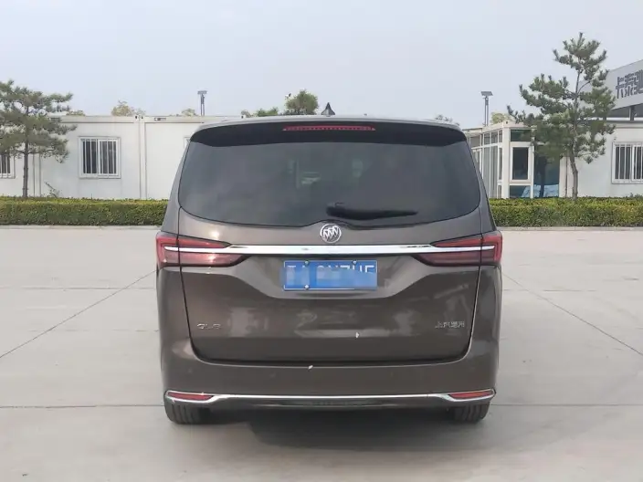 Buick GL8 2023 Model Business class 2.0T Luxury Model – фото 5