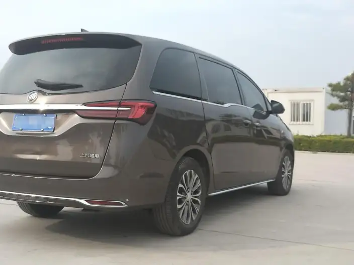 Buick GL8 2023 Model Business class 2.0T Luxury Model – фото 6