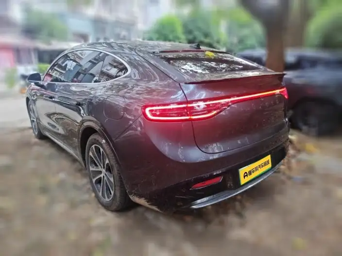 Luxeed R7 2024 Model EV 100kWh Max Rear Drive Edition – фото 4