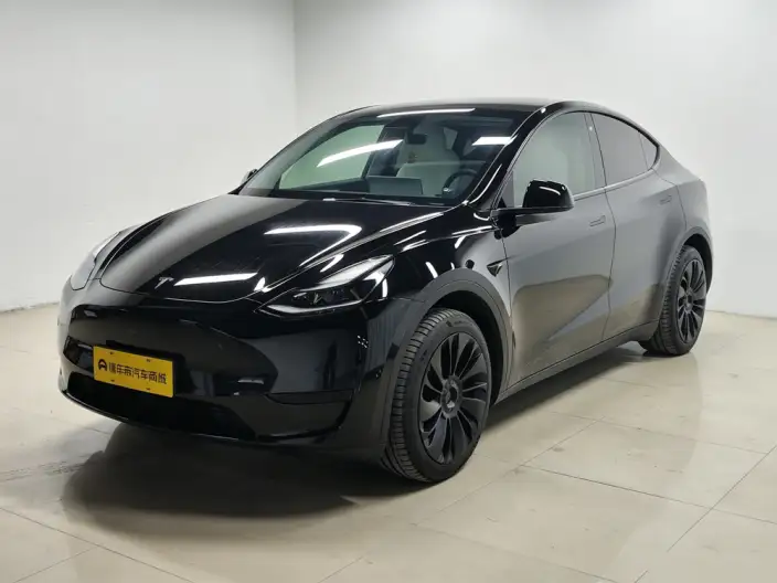 Model Y 2022 Model Facelift Rear-wheel drive version – фото 1