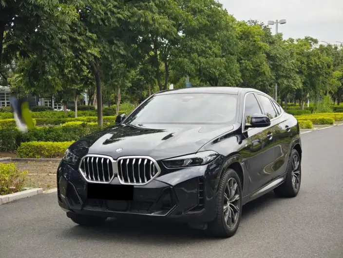 BMW X6 2023 Model Facelift xDrive30i M Sports Set – фото 1