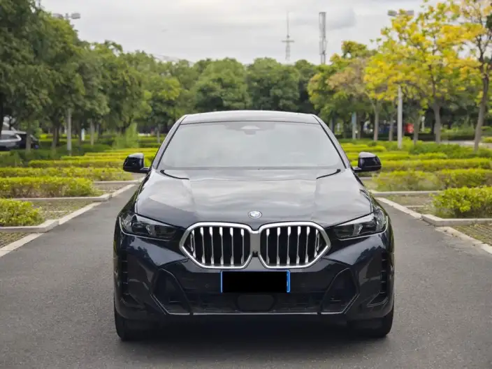 BMW X6 2023 Model Facelift xDrive30i M Sports Set – фото 2