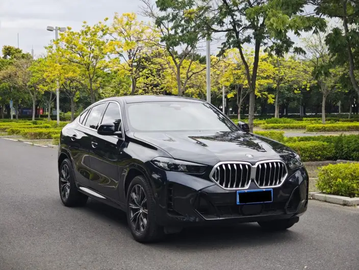BMW X6 2023 Model Facelift xDrive30i M Sports Set – фото 3