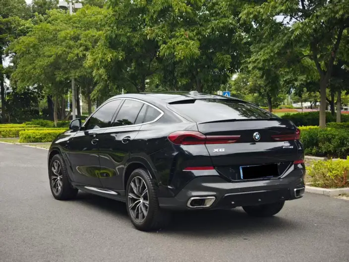 BMW X6 2023 Model Facelift xDrive30i M Sports Set – фото 4