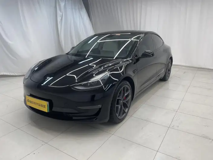 Model 3 2022 Model Performance High performance All-wheel drive version – фото 1