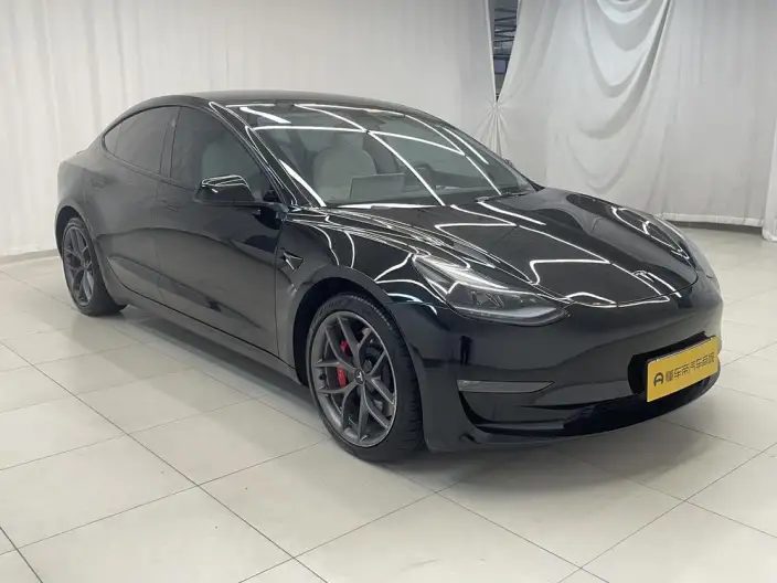 Model 3 2022 Model Performance High performance All-wheel drive version – фото 3