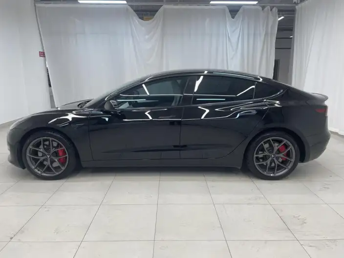 Model 3 2022 Model Performance High performance All-wheel drive version – фото 4