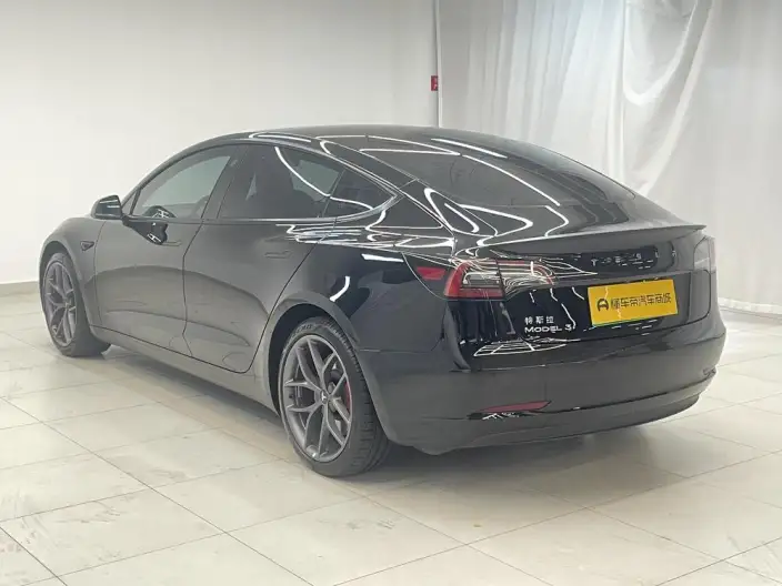 Model 3 2022 Model Performance High performance All-wheel drive version – фото 5