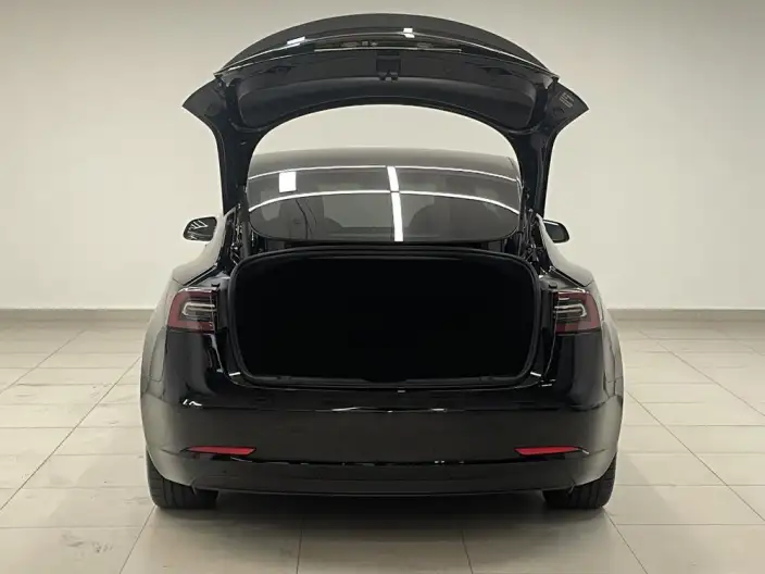 Model 3 2022 Model Performance High performance All-wheel drive version – фото 20