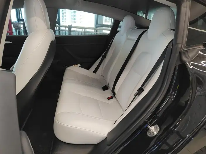 Model 3 2022 Model Performance High performance All-wheel drive version – фото 24