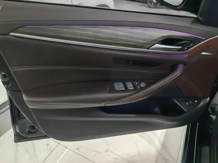 BMW 5 Series PHEV 2020 Model 530Le Luxury Set – фото 11