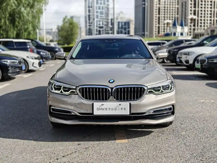 BMW 5 Series PHEV 2020 Model Legend L Class Edition 530Le Luxury Set – фото 2