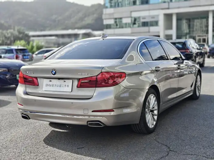 BMW 5 Series PHEV 2020 Model Legend L Class Edition 530Le Luxury Set – фото 5