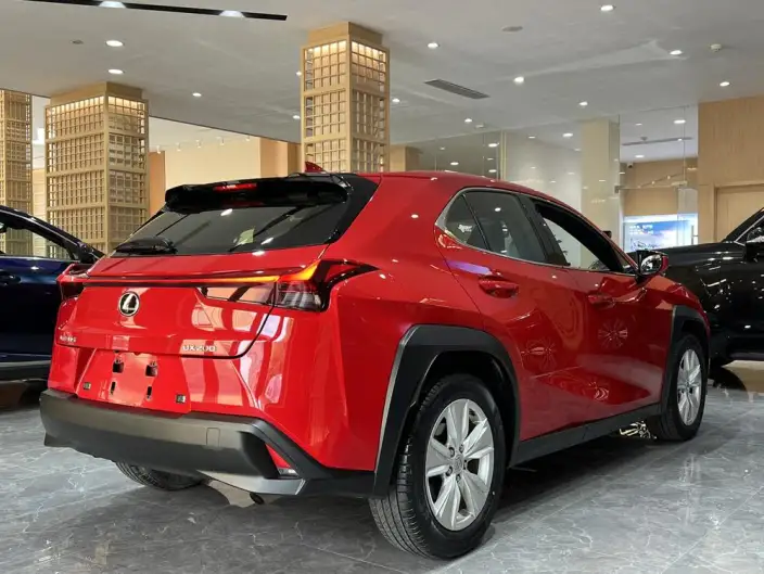 Lexus UX 2020 Model 200 Special Edition – фото 5