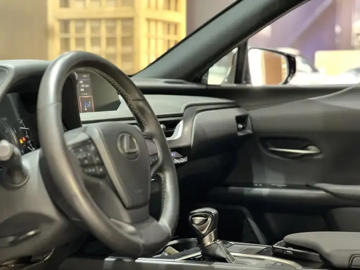 Lexus UX 2020 Model 200 Special Edition – фото 13