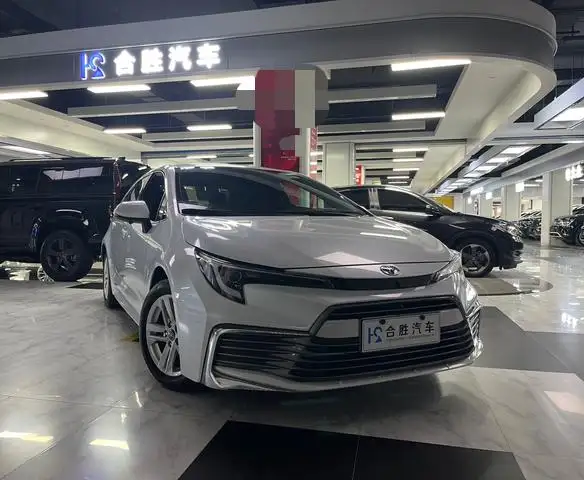 Lingshang 2024 Model 2.0L Leading version – фото 3