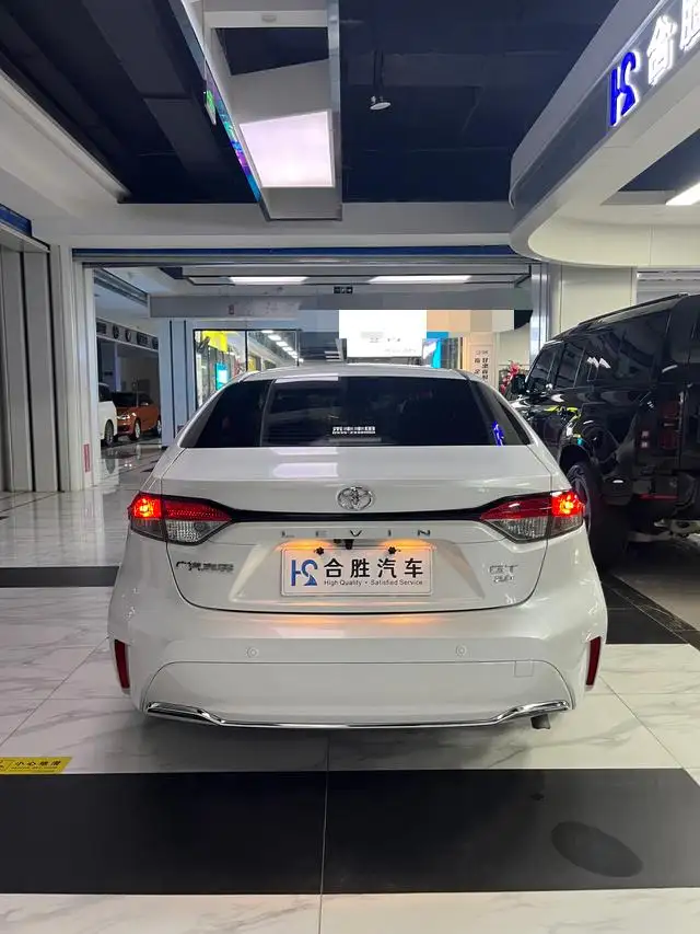 Lingshang 2024 Model 2.0L Leading version – фото 6