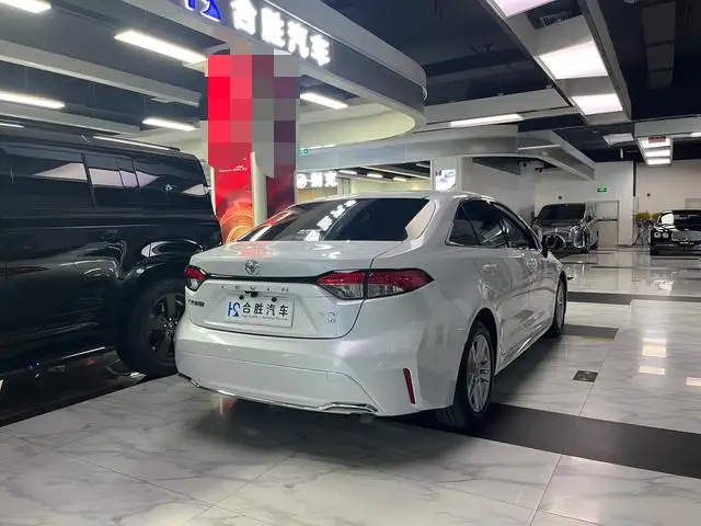 Lingshang 2024 Model 2.0L Leading version – фото 7