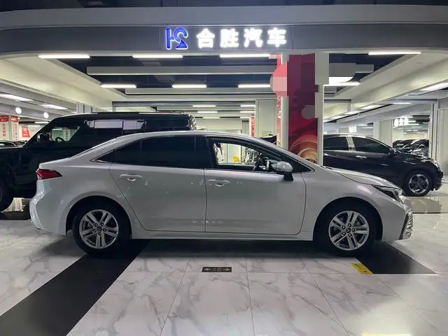 Lingshang 2024 Model 2.0L Leading version – фото 8